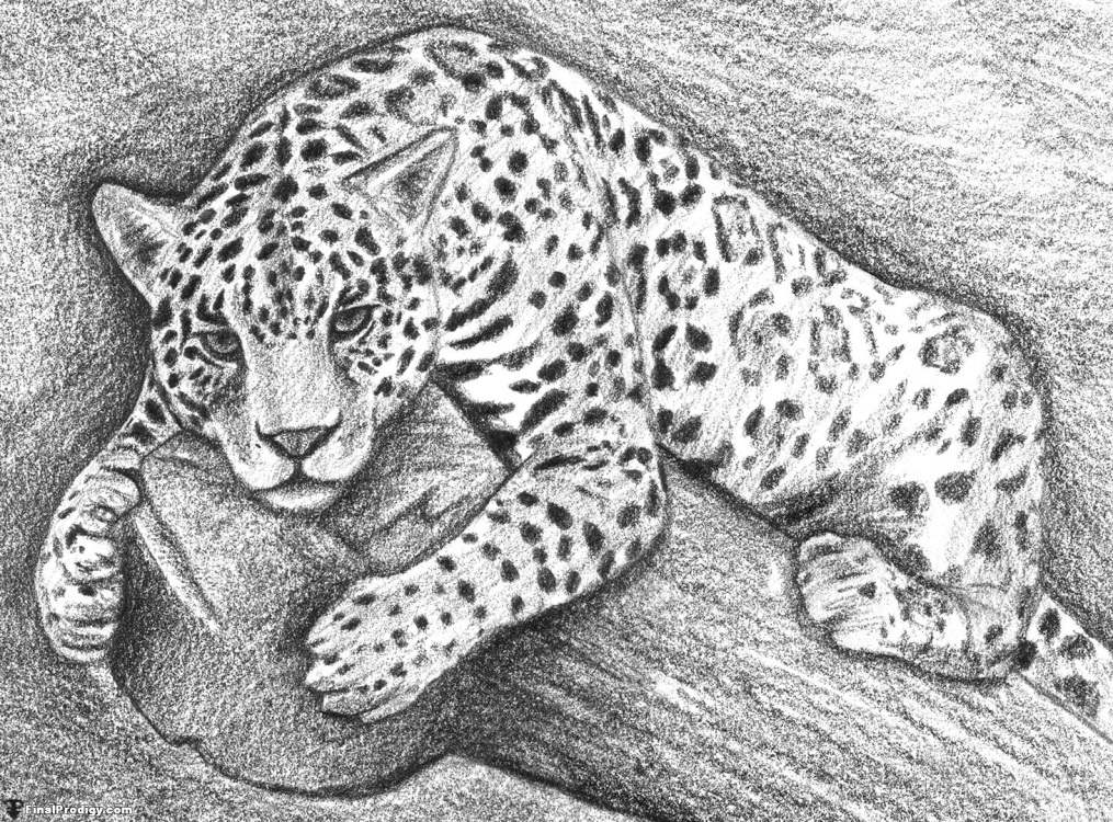 Крутые рисунки ягуара для срисовки 018