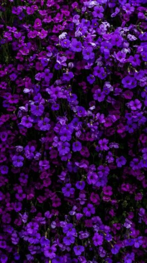 Крутые фиолетовые обои на телефон в стиле минимализма 009