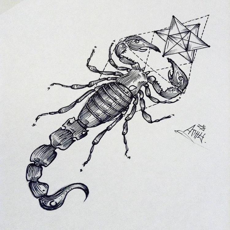 Необычные скетчи скорпиона для рисования 025