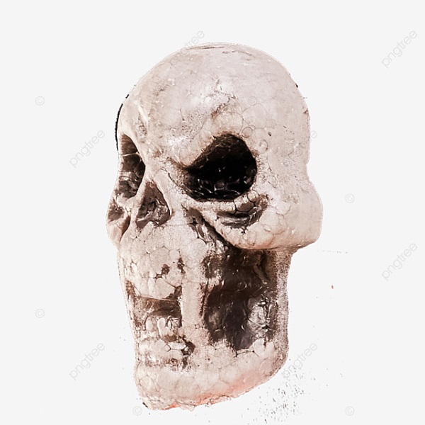 Смертоносный скелет на аватарке 005