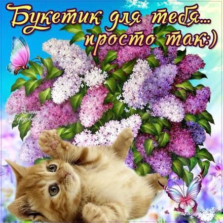 Милый котик с цветами на утро весны (16)