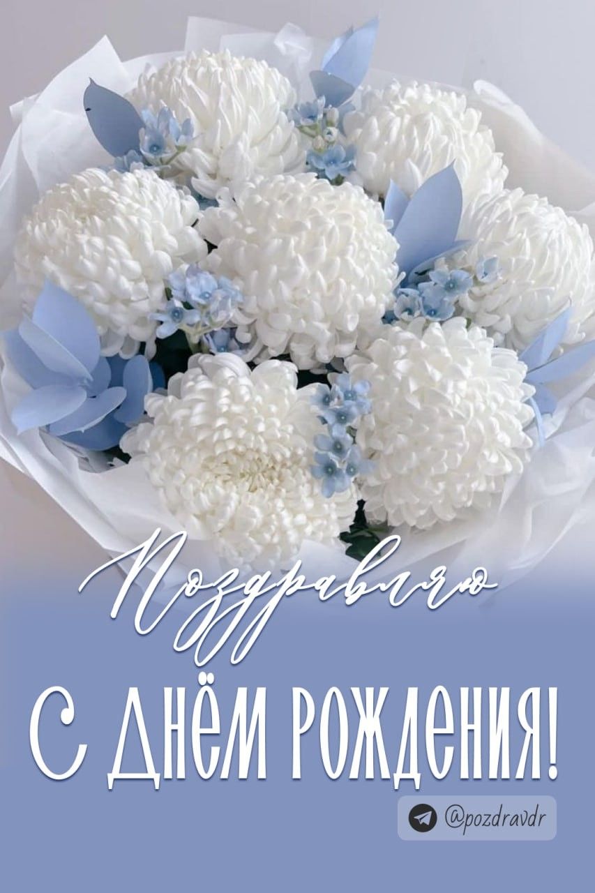 Yandex с днем рождения открытки   подборка (14)