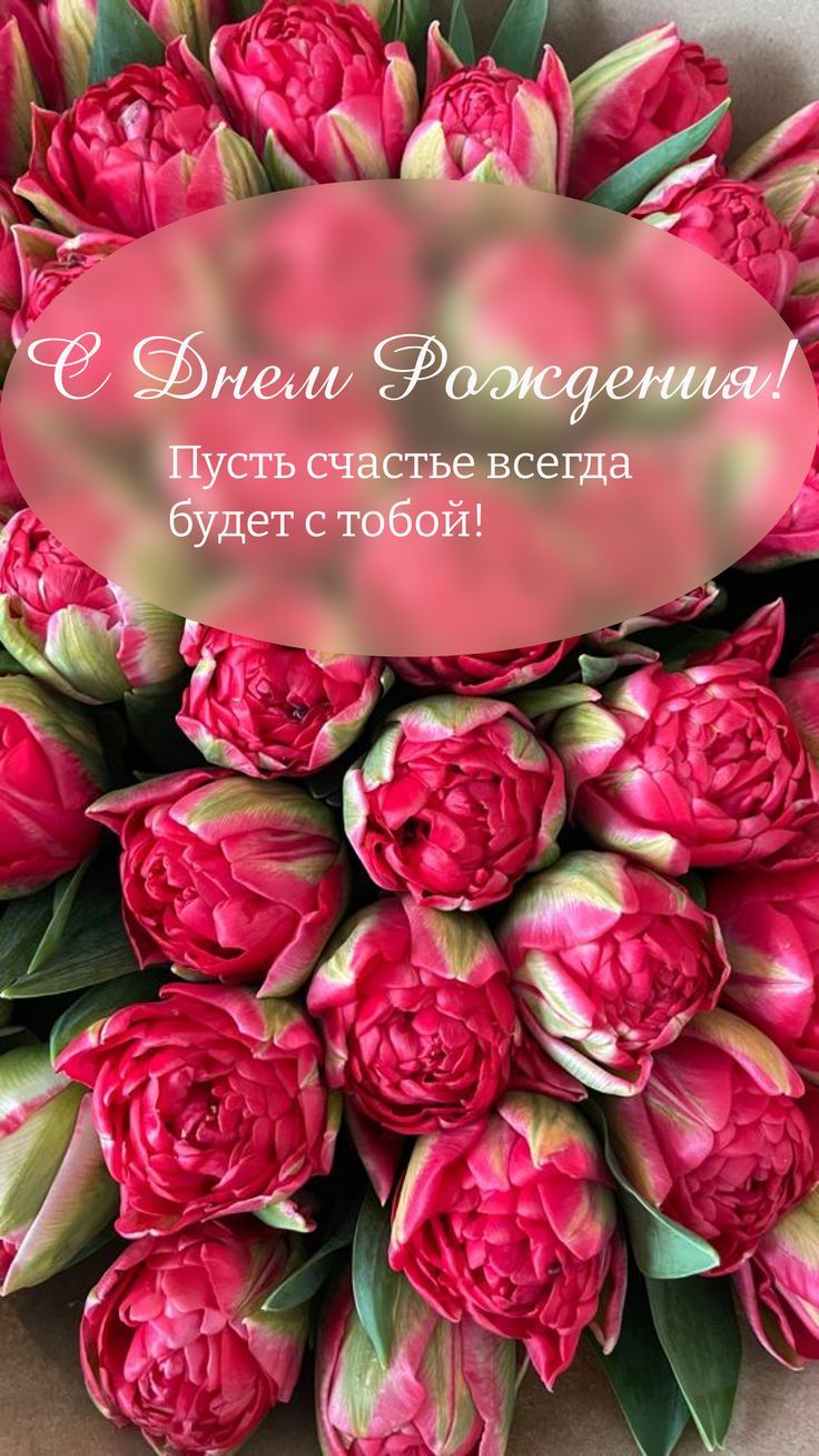 Открытки с фото цветов на день рождения красочные поздравления (5)