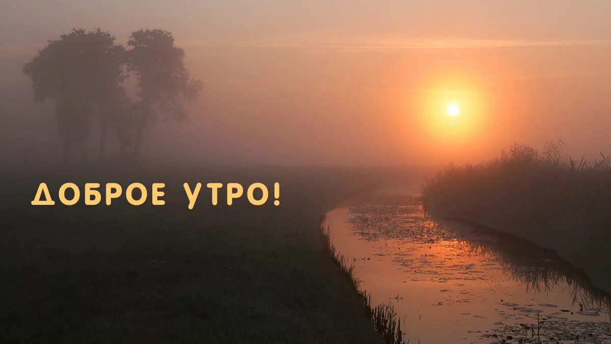 Доброе туманное утро картинки