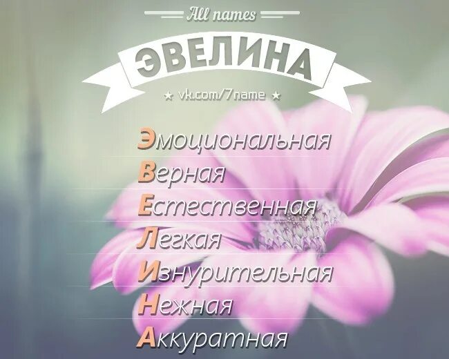 Смешные картинки эвелина