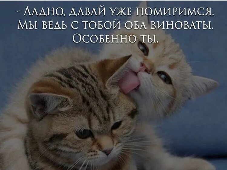 Ведь я уже. Давай мириться мы оба виноваты особенно ты. Оба виноваты особенно ты. Открытка мы оба виноваты особенно ты. Мы оба виноваты давай мириться картинки.