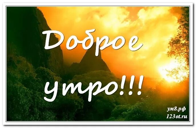 Доброе утро сыночек взрослому. Доброе утро сын. Картинки с добрым утром сыночек.