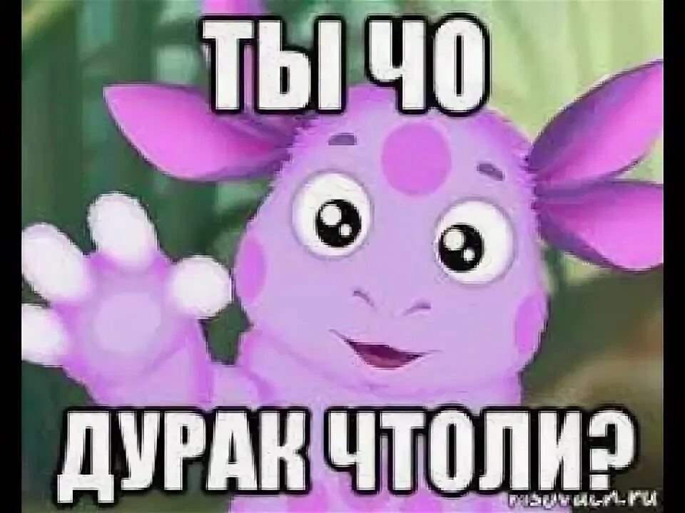 Ты дурачок картинка