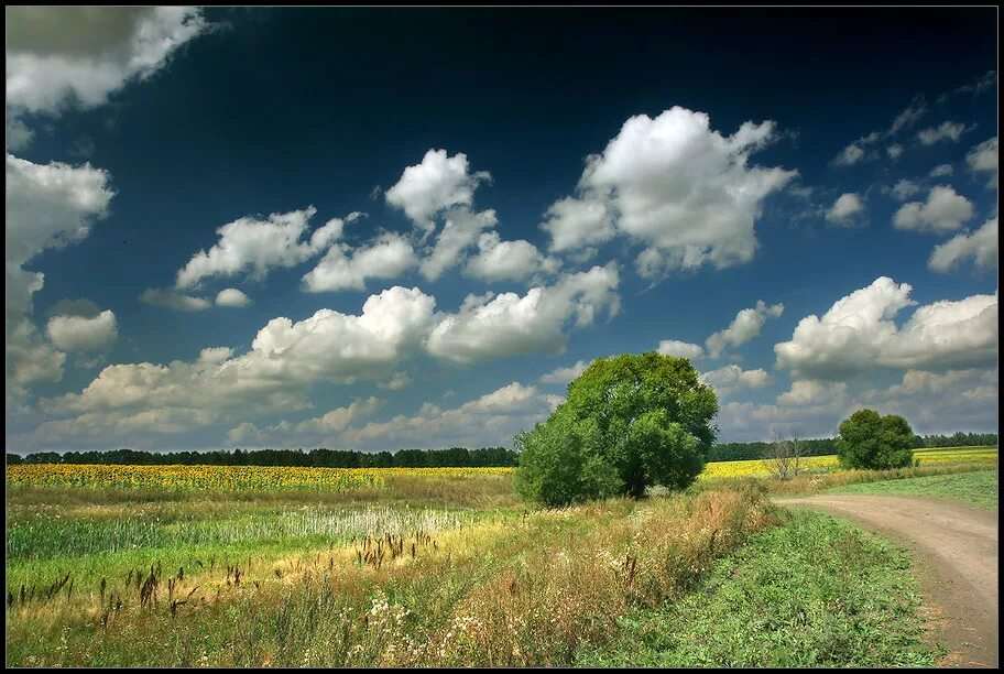 Конец лета пейзажи. Летний пейзаж. Август пейзаж. Августовский пейзаж. Летние пейзажи природы.