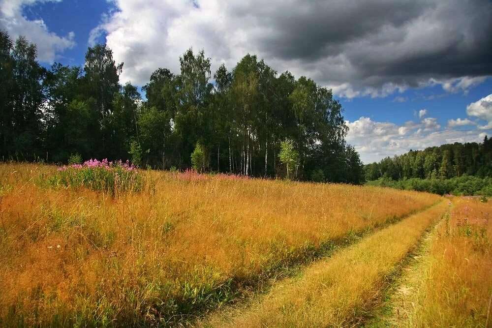 Конец лета картинки