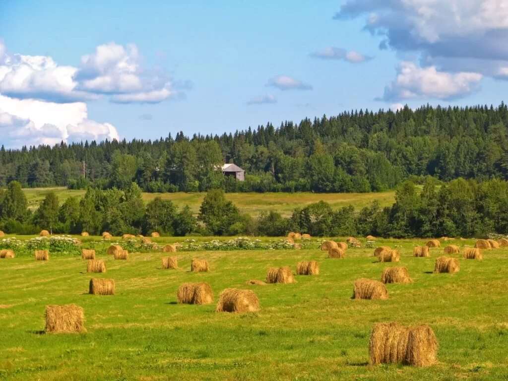 Картинки месяца август