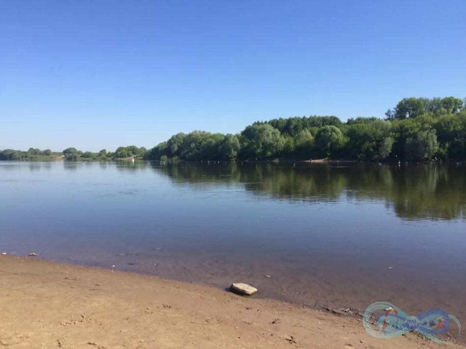 Нерская московская область озеро. Озеро земснаряд Куровское. Озеро Нерская. Куровское озеро. Озеро Куровское Московская область.