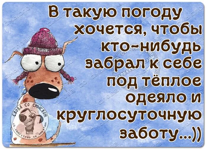 Коротко о погоде в принципе не холодно если сидеть дома картинки