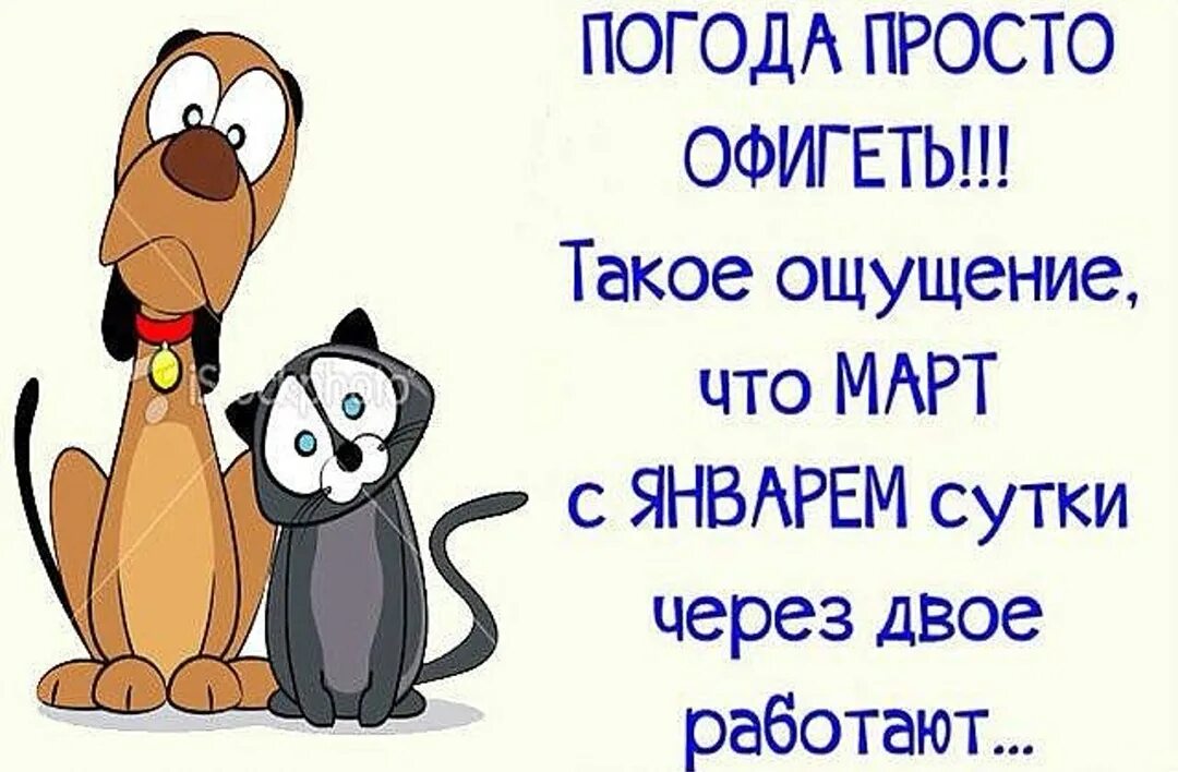 Завтра тепло. Открытки о погоде прикольные. Открытки про погоду смешные. Веселые статусы про март. Открытки с плохой погодой.