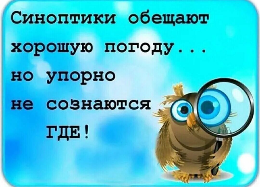 Смешные картинки про погоду в мае. Веселые цитаты. Смешные цитаты. Погода приколы картинки. Погода картинки прикольные смешные.