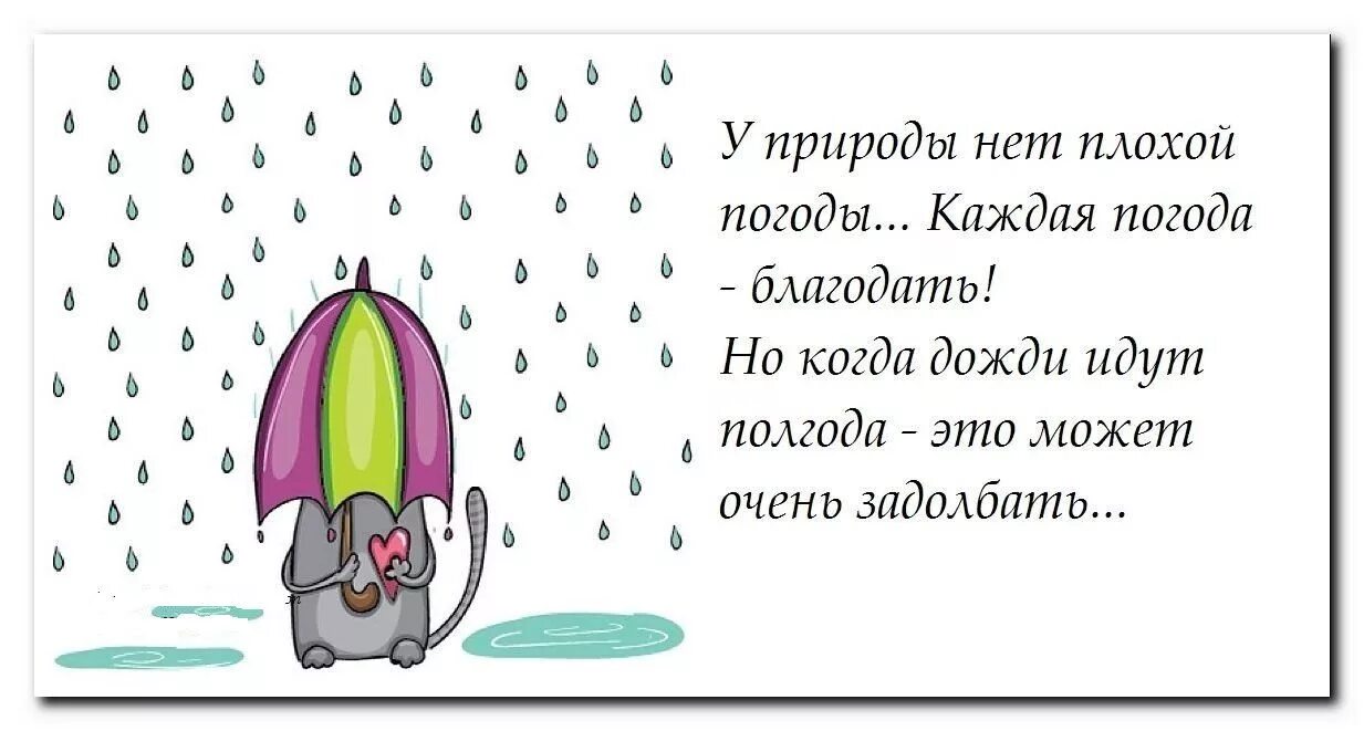 Шутки про погоду в картинках с надписями