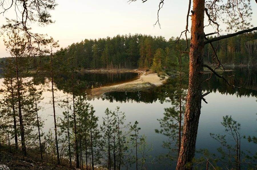 Старая пустынь нижегородская. Пустынские озёра Нижегородская область. Пустынские озера Арзамасского.