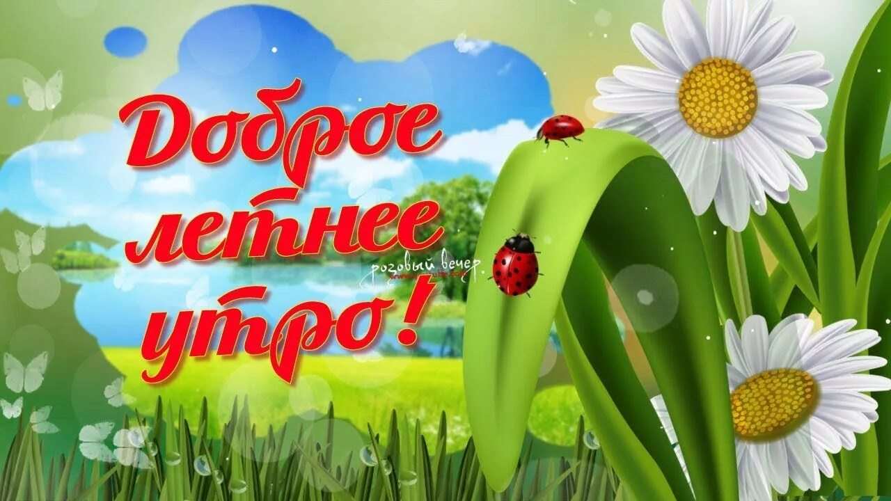 Картинки с добрым утром скоро лето прикольные