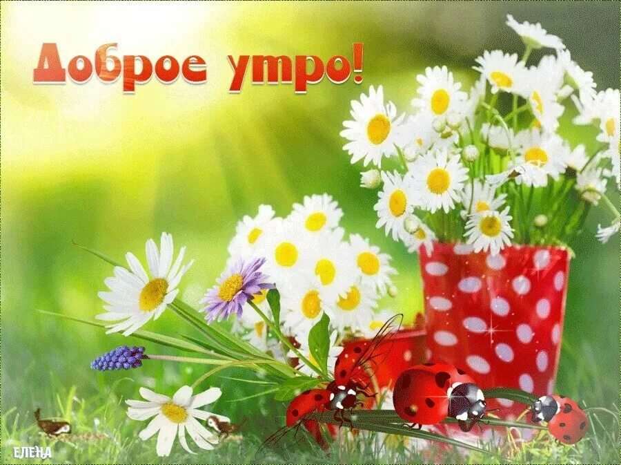 Доброе утро группа. Лето пришло доброе утро. Доброе летнее утро. Доброе утро вот и лето пришло.