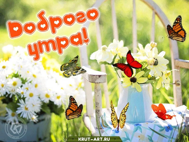 Открытки доброе утро необычные природа. Стикеры с добрым утром бесплатно летние. Доброе утро летнее прикольное. С добрым летним утром прикольные. С добрым летним утром гифки.