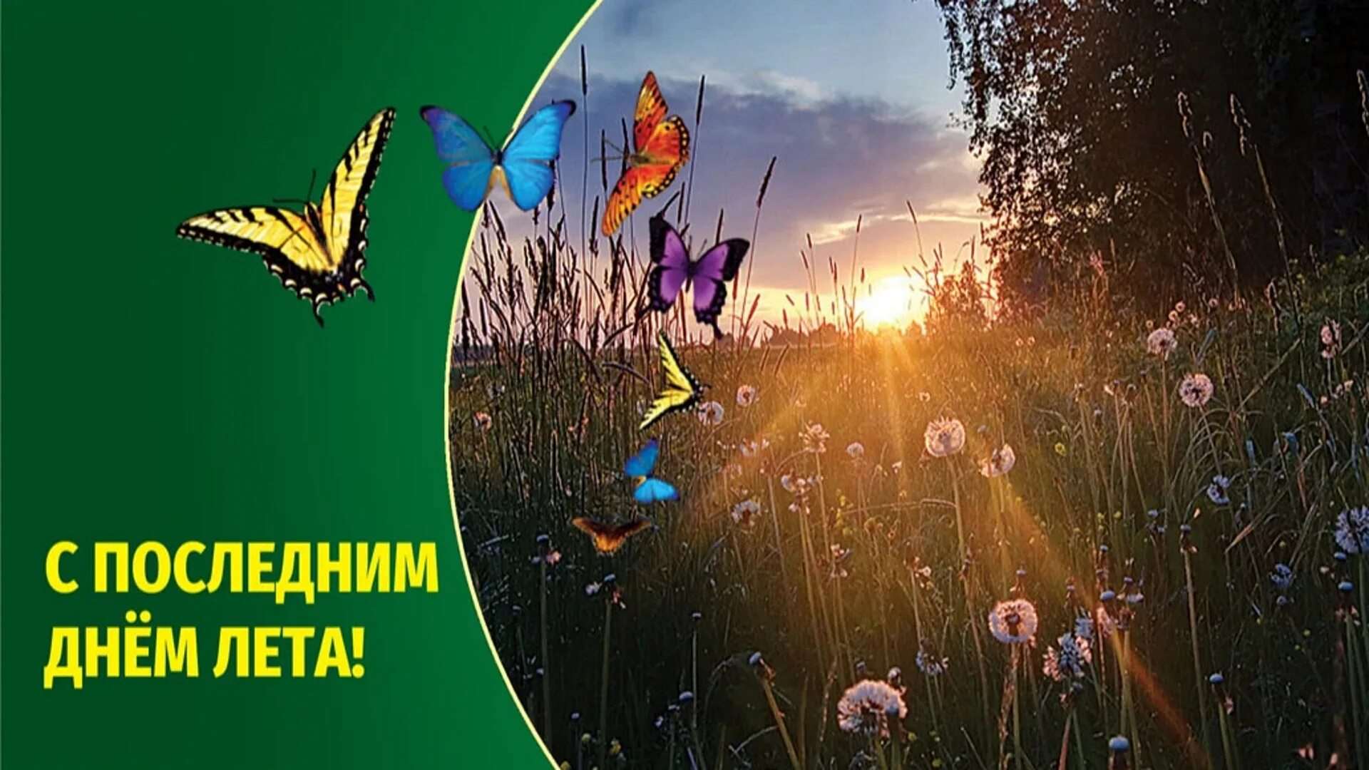 Картинка последний день