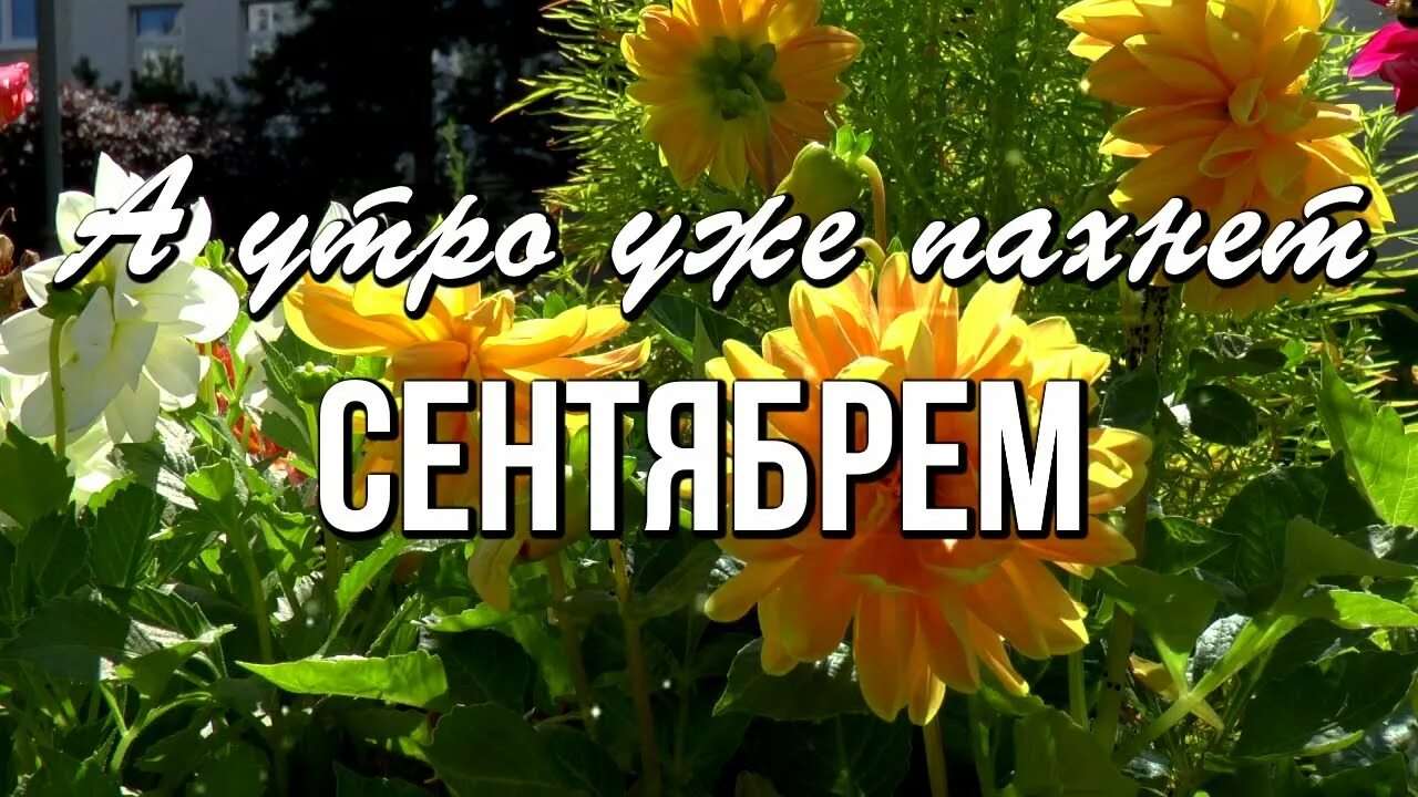 Картинка сегодня лето завтра лето