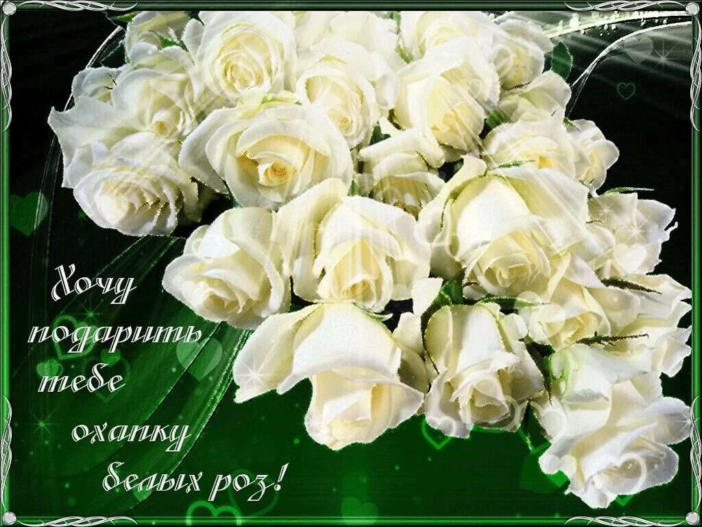 Белые розы открытки красивые с днем рождения 1