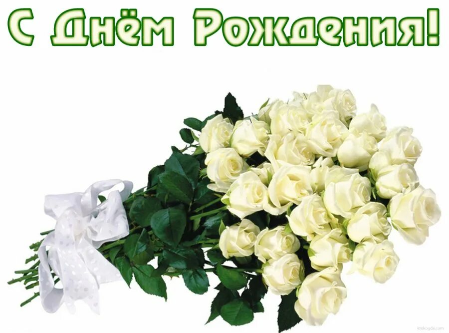 Белые розы открытки красивые с днем рождения 10