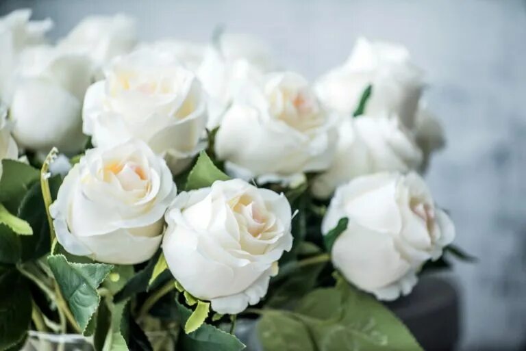 Белые розы открытки красивые с днем рождения 16