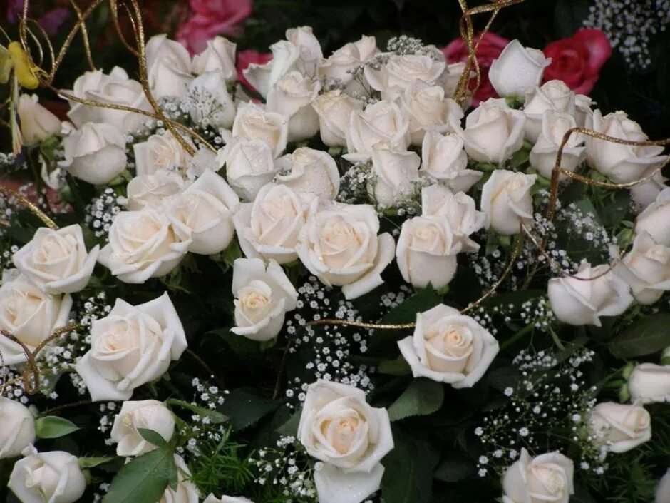 Белые розы открытки красивые с днем рождения 23