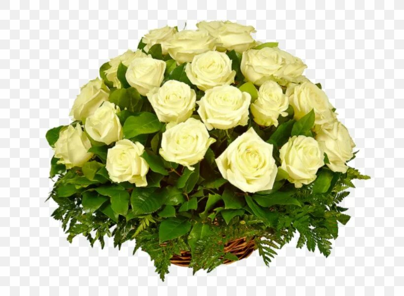 Белые розы открытки красивые с днем рождения 24