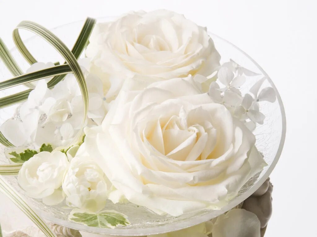 Белые розы открытки красивые с днем рождения 5