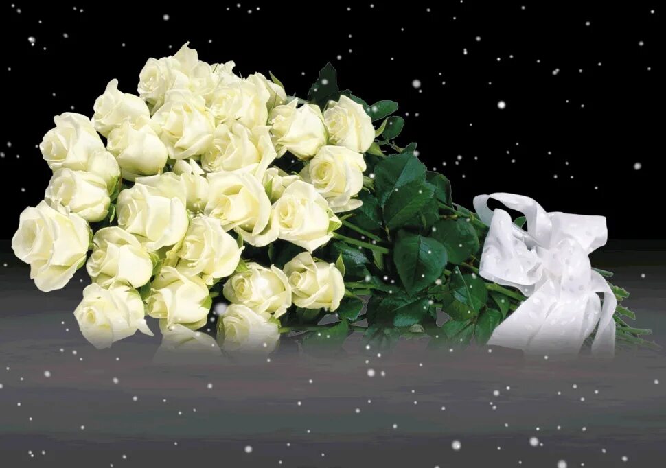 Белые розы открытки красивые с днем рождения 6