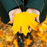 Пусть ваши руки обрамят желтые осенние листья 9