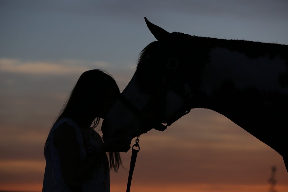 Фото девушек с лошадьми на аву 04
