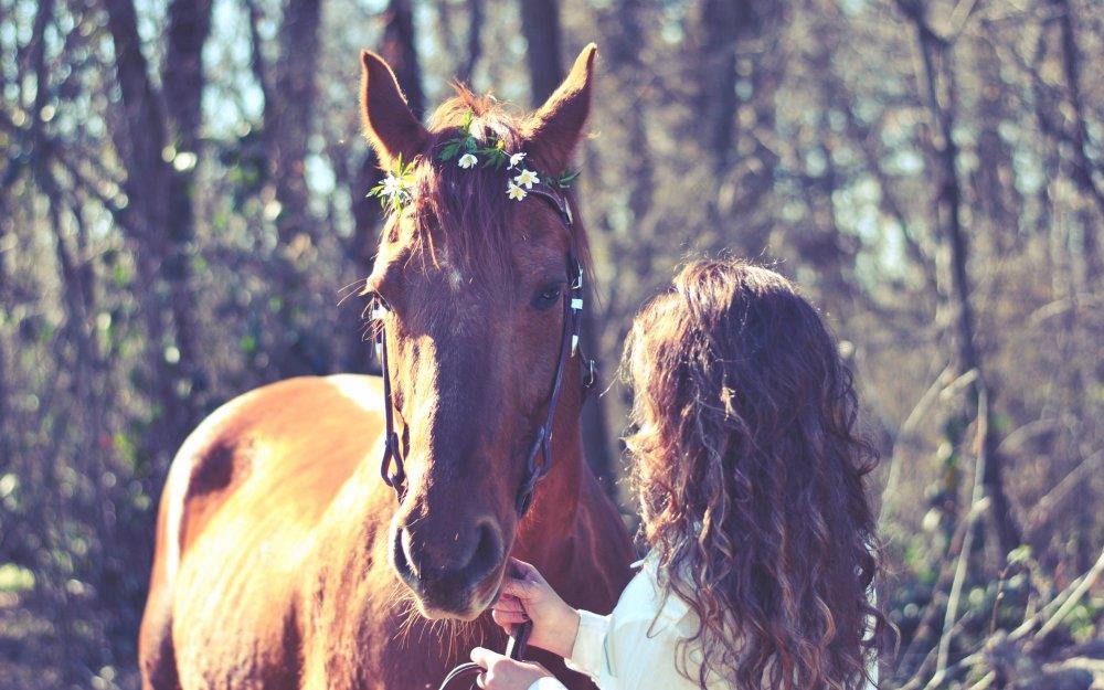 Фото девушек с лошадьми на аву 06