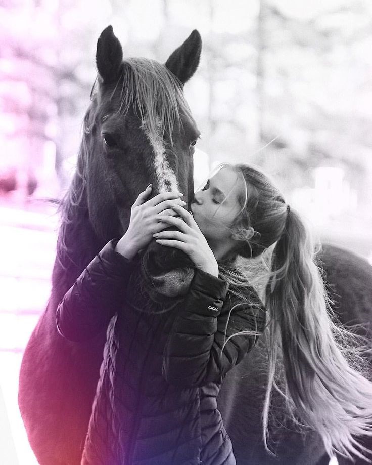 Фото девушек с лошадьми на аву 14