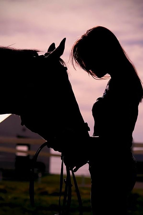 Фото девушек с лошадьми на аву 20