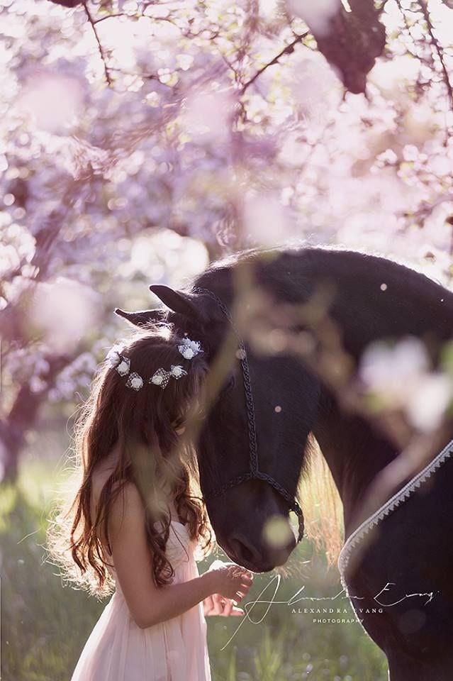 Фото девушек с лошадьми на аву 24
