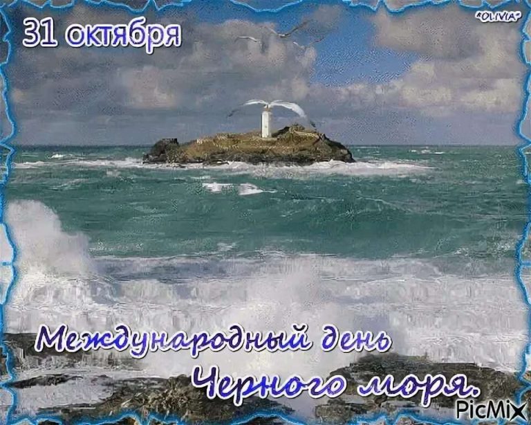 С днем черного моря картинки