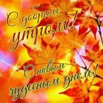 Открытки с добрым утром осенние 9