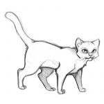 Фотки для срисовки карандашом котов 9