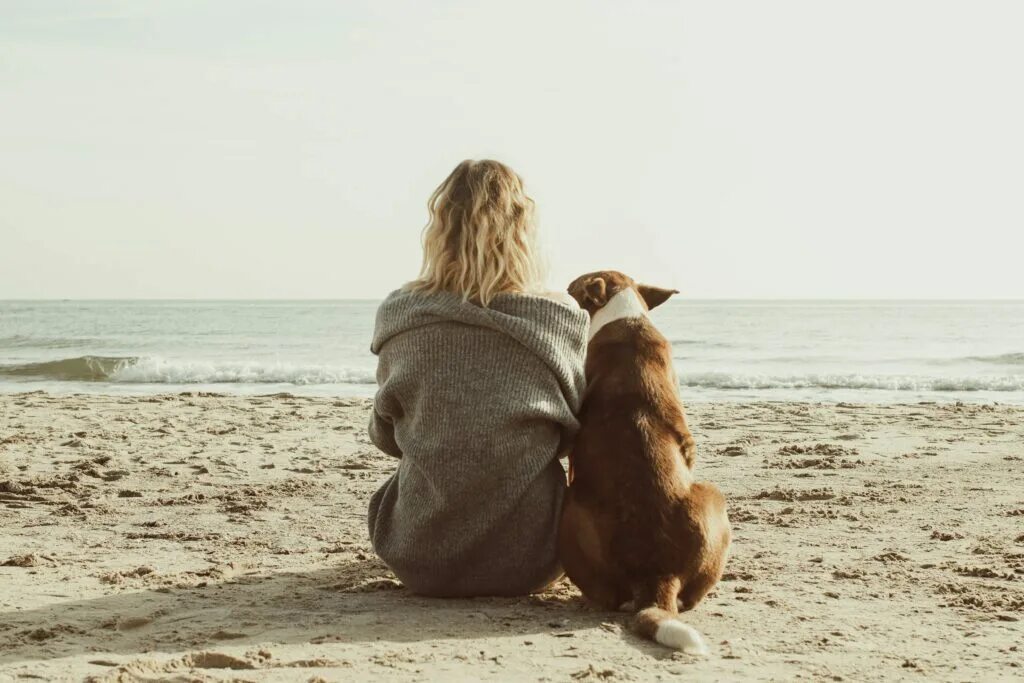 Девушка с собакой со спины   сборка фото 16