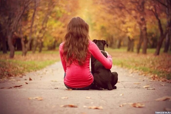 Девушка с собакой со спины   сборка фото 21