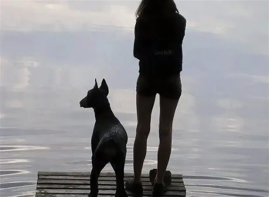 Девушка с собакой со спины   сборка фото 7