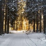 Красивое фото зимы для заставки айфона 16