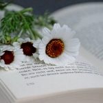 Книга с белыми цветами 9