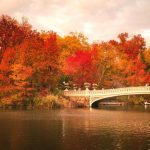 Мост через реку с красными листьями 9