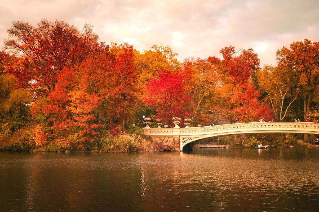 Мост через реку с красными листьями 9
