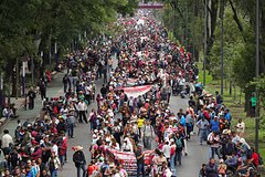 fce2250f259c7e80a7377aa99f77515b.jpg